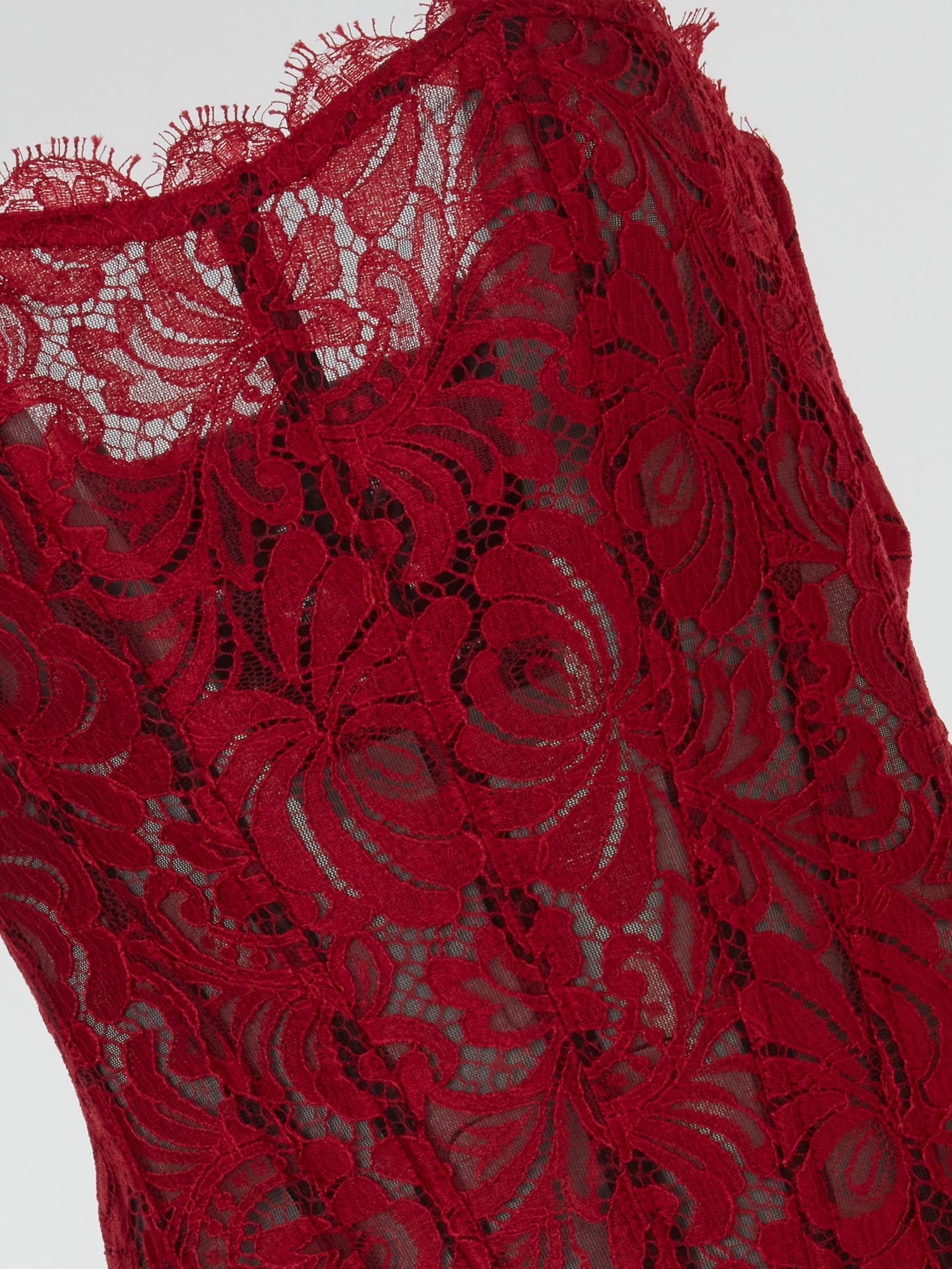 Red Lace Sheer Corset Top