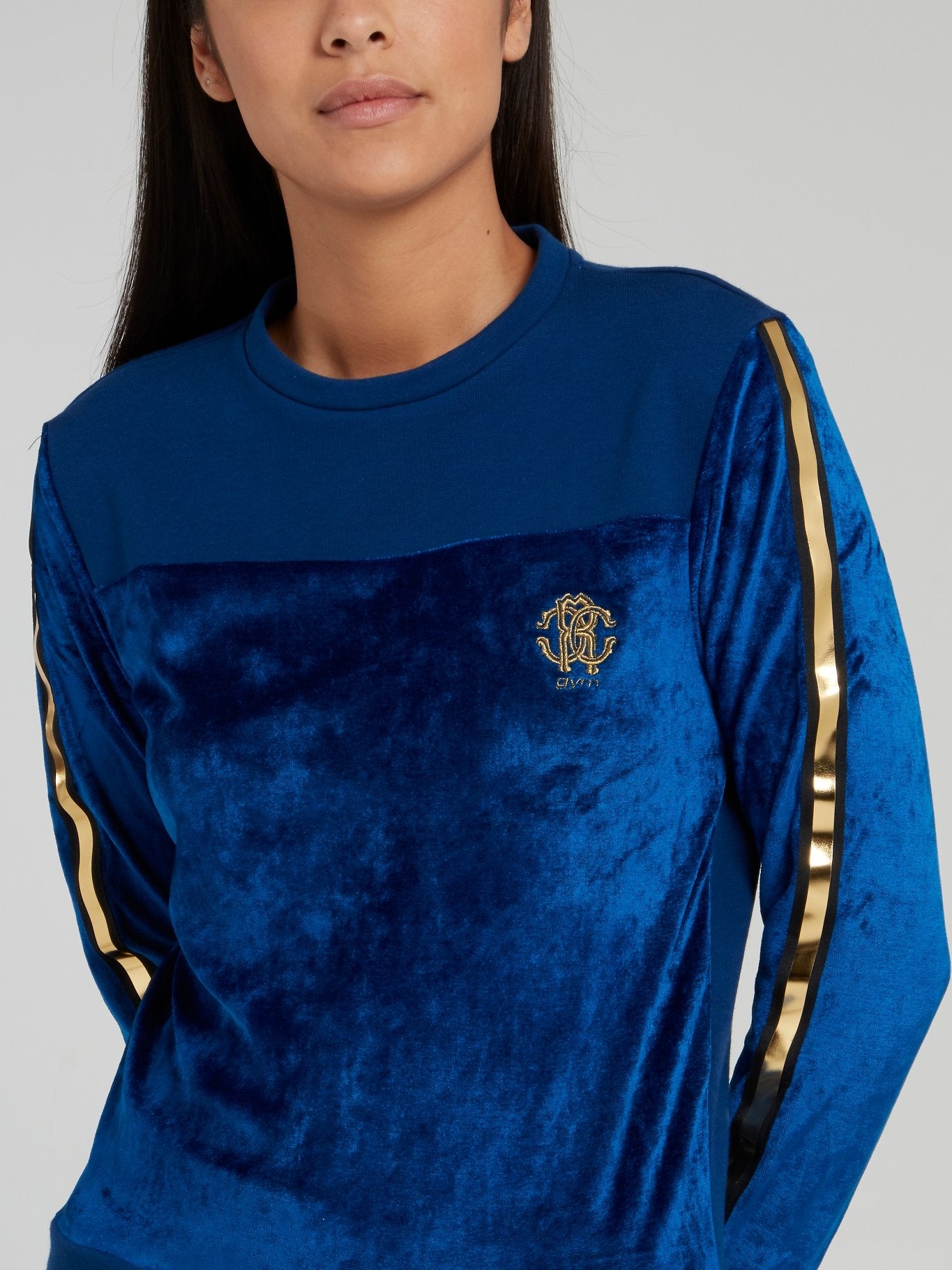 Blue Velvet Gold Stripe Sweatshirt